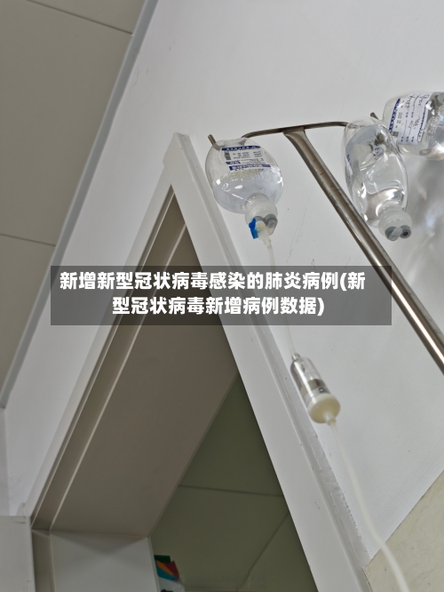 新增新型冠状病毒感染的肺炎病例(新型冠状病毒新增病例数据)-第2张图片
