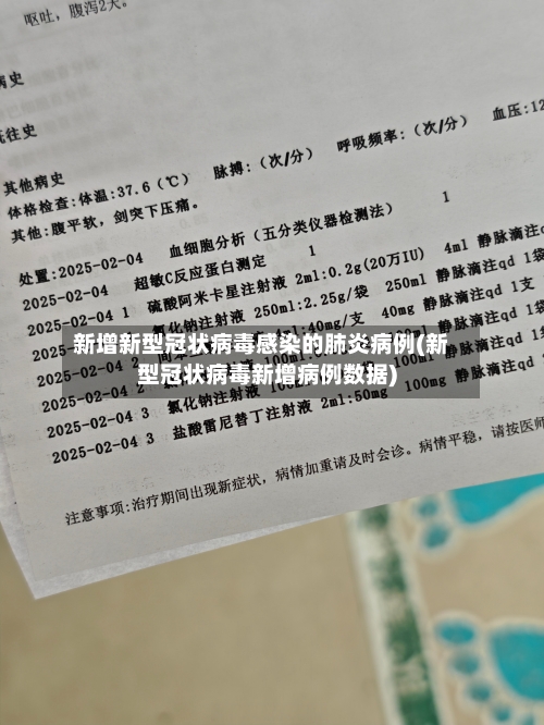 新增新型冠状病毒感染的肺炎病例(新型冠状病毒新增病例数据)-第3张图片