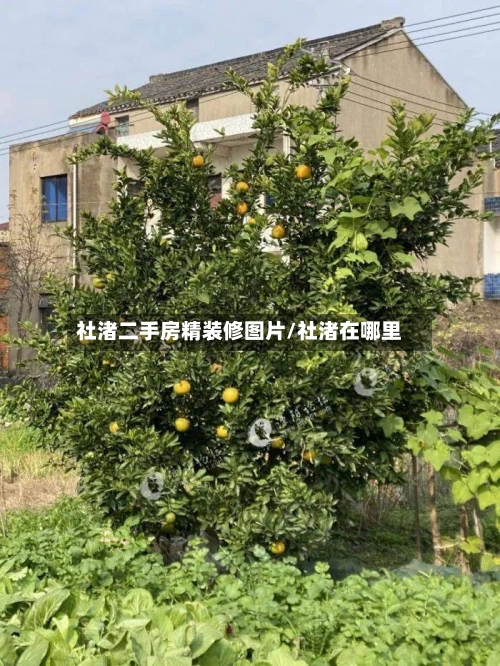 社渚二手房精装修图片/社渚在哪里