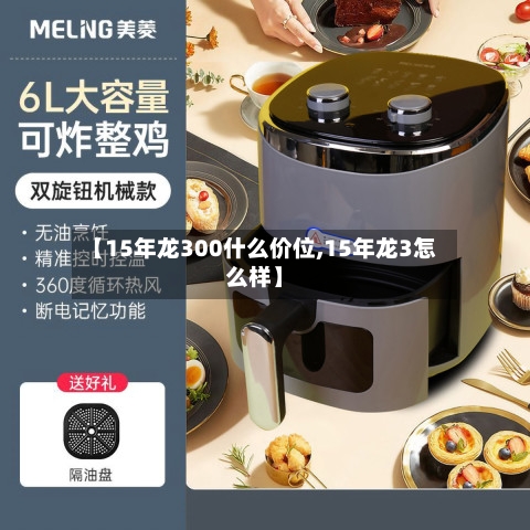 【15年龙300什么价位,15年龙3怎么样】-第2张图片