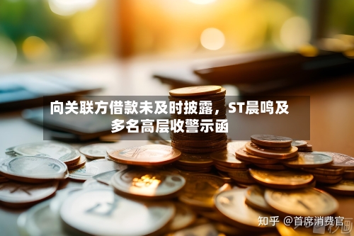 向关联方借款未及时披露，ST晨鸣及多名高层收警示函