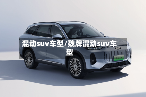 混动suv车型/魏牌混动suv车型-第3张图片