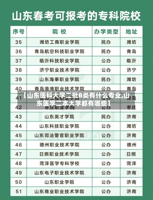 【山东医科大学二批B类有什么专业,山东医学二本大学都有哪些】