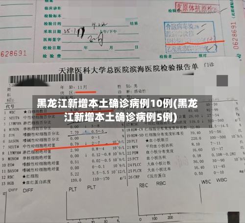 黑龙江新增本土确诊病例10例(黑龙江新增本土确诊病例5例)