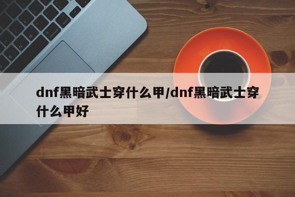 dnf黑暗武士穿什么甲/dnf黑暗武士穿什么甲好