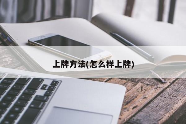 上牌方法(怎么样上牌)