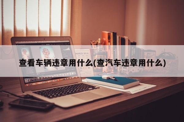 查看车辆违章用什么(查汽车违章用什么)
