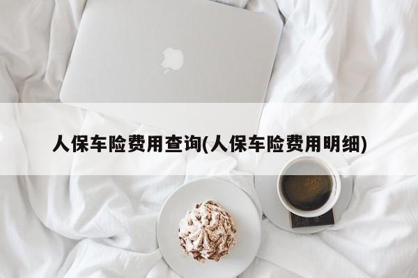 人保车险费用查询(人保车险费用明细)